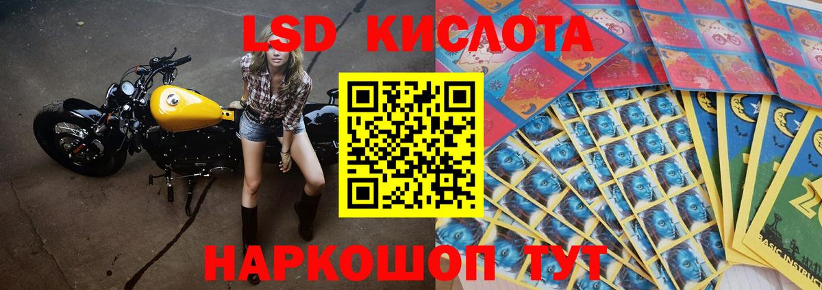 Сунжа  ЛСД экстази  Вход с VPN  ЛСД экстази кислота  ЛСД экстази кислота 