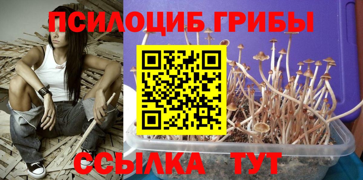 Галлюциногенные грибы мухоморы  Вход с VPN  Сунжа  Галлюциногенные грибы Psilocybine cubensis 